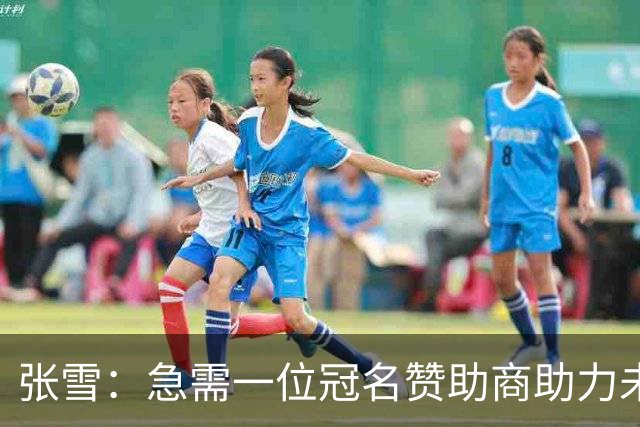 张雪：急需一位冠名赞助商助力未来之路